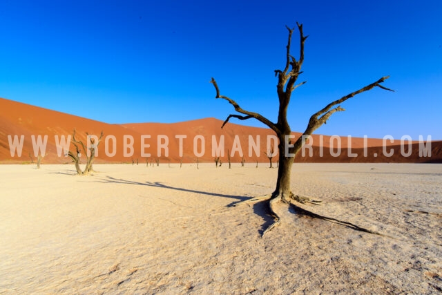 Deadvlei