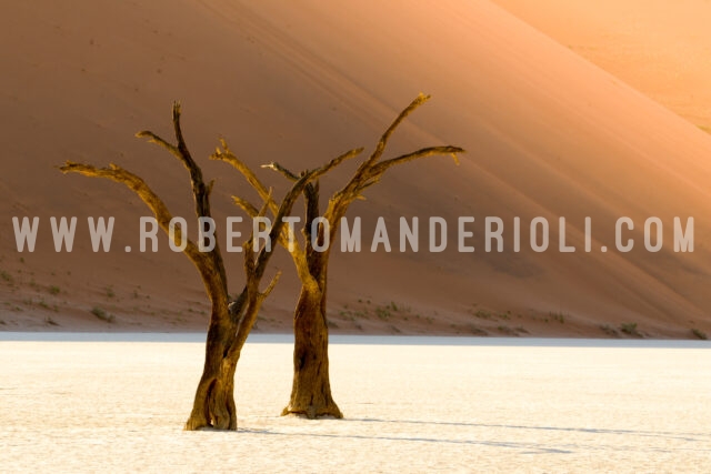 Deadvlei